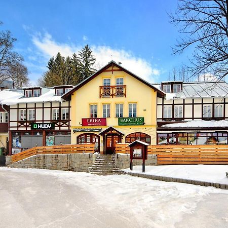 Hotel Erika Špindlerŭv Mlýn المظهر الخارجي الصورة