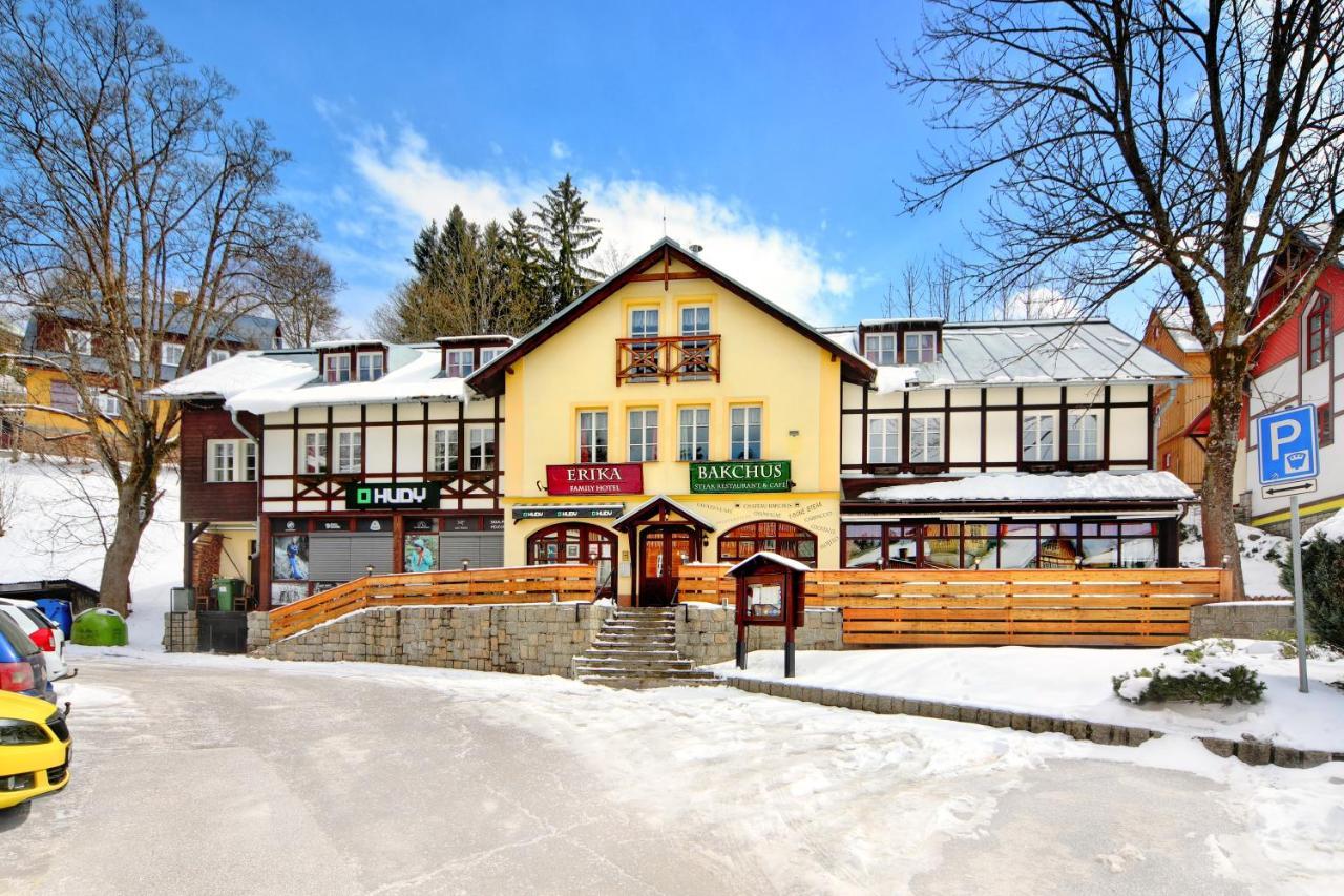 Hotel Erika Špindlerŭv Mlýn المظهر الخارجي الصورة