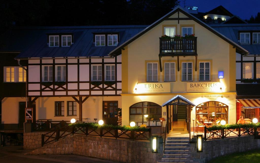 Hotel Erika Špindlerŭv Mlýn المظهر الخارجي الصورة