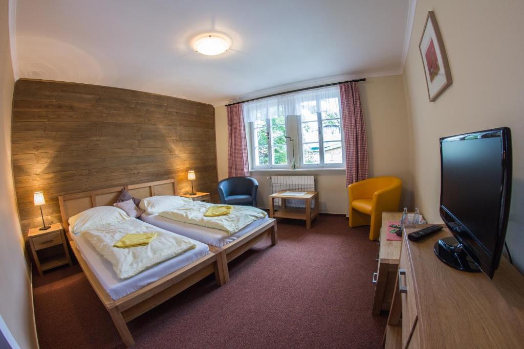 Hotel Erika Špindlerŭv Mlýn الغرفة الصورة